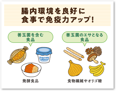 食事で免疫力アップ